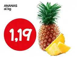 Hardis ANANAS offerta