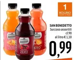 Emisfero San Benedetto Succoso assortiti offerta