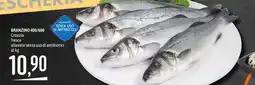 Emisfero Branzino offerta