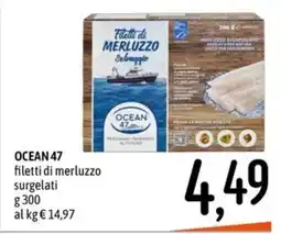 Emisfero OCEAN 47 filetti di merluzzo offerta