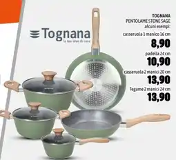 Emisfero TOGNANA PENTOLAME STONE SAGE offerta