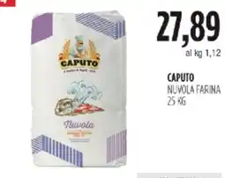 Carico Cash & Carry CAPUTO NUVOLA FARINA offerta