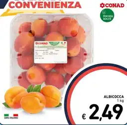 Spazio Conad CONAD ALBICOCCA offerta