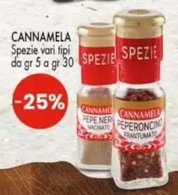 Despar Cannamela Spezie offerta
