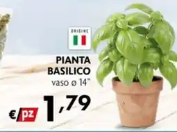 Maxi Supermercati PIANTA BASILICO offerta