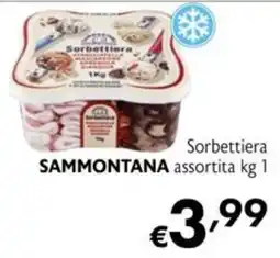 Maxi Supermercati Sorbettiera SAMMONTANA offerta