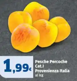 Ok Sigma Pesche Percoche offerta