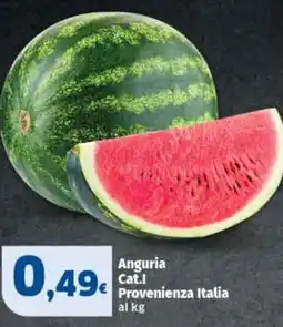 Ok Sigma Anguria offerta