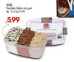 Despar SIGEL Vaschetta Gelato vari gusti offerta