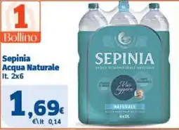 Ok Sigma Sepinia Acqua Naturale offerta