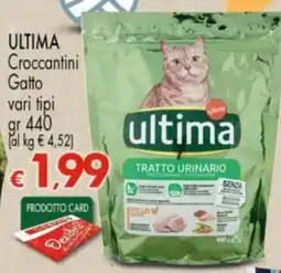 Despar ultima Croccantini Gatto offerta