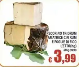 Top Supermercati PECORINO TRIORUM AMATRICE CIN RUM E FOGLIE DI FICO offerta