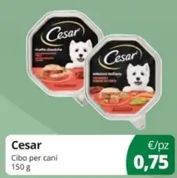 Prodet Cesar Cibo per cani offerta