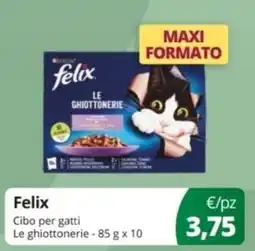 Prodet Felix Cibo per gatti Le ghiottonerie offerta