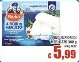 Top Supermercati Findus Fiori di Merluzzo offerta