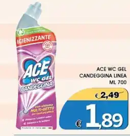 Deter Shop ACE WC GEL CANDEGGINA LINEA offerta