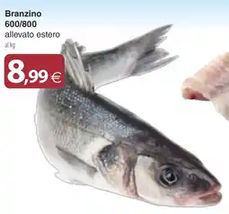 Docks Cash&Carry Branzino offerta