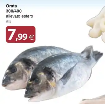 Docks Cash&Carry Orata offerta