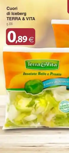 Docks Cash&Carry Cuori di Iceberg TERRA & VITA offerta