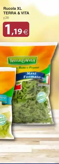 Docks Cash&Carry Rucola XL Terra & Vita offerta