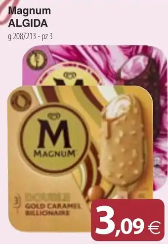 Docks Cash&Carry Magnum ALGIDA offerta
