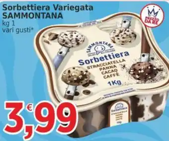 Sorbettiera Variegata SAMMONTANA
