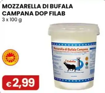 Mozzarella di Bufala Campana DOP Filab
