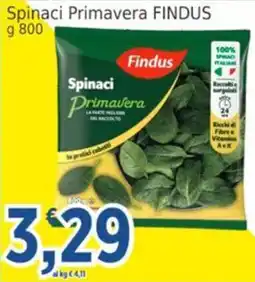 Market Ingross Spinaci Primavera FINDUS offerta