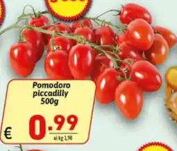Ipercarni Pomodoro piccadilly offerta