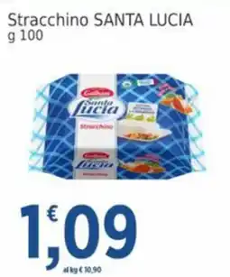 Market Ingross Stracchino SANTA LUCIA offerta