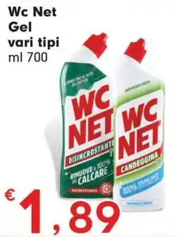 DeSpar Express WC Net Gel offerta