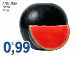 Market Ingross ANGURIA Nera offerta