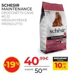 Arcaplanet Schesir Maintenance Crocchette Cane offerta