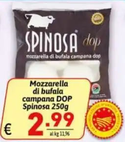 Ipercarni Mozzarella di bufala campana DOP Spinosa offerta
