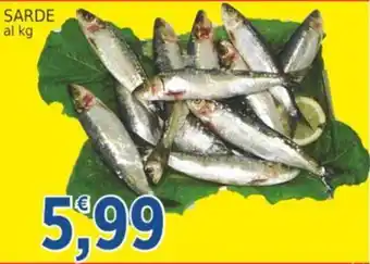 Market Ingross SARDE offerta