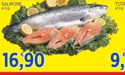 Market Ingross SALMONE offerta
