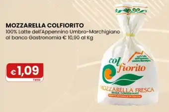 Gala Supermercati Mozzarella Colfiorito offerta