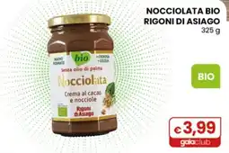 Gala Supermercati Nocciolata BIO Rigoni di Asiago offerta