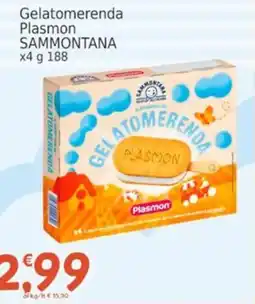 Market Ingross Gelatomerenda Plasmon SAMMONTANA offerta