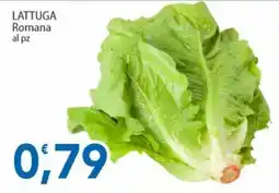 Sidis LATTUGA Romana offerta