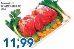 Sidis Muscolo di BOVINO ADULTO offerta