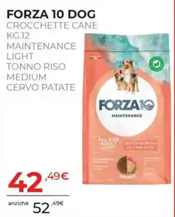 Arcaplanet FORZA 10 DOG CROCCHEtte CANE offerta