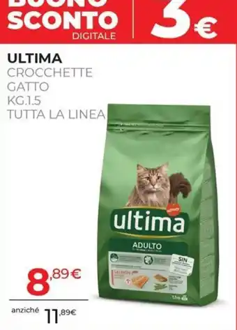 ULTIMA CROCCETTE GATTO