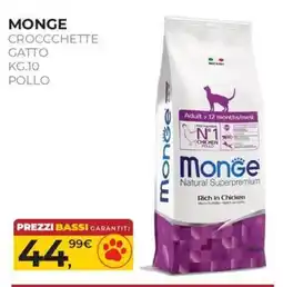 Arcaplanet Monge Croccchette Gatto offerta