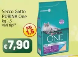 Sidis Secco Gatto PURINA One offerta