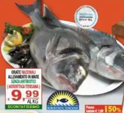 CTS Supermercati Orate nazionali offerta
