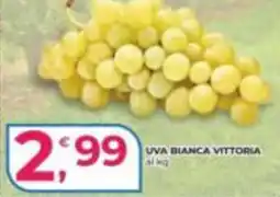 Alter Discount UVA BIANCA VITTORIA offerta