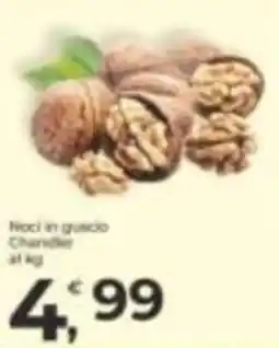 Alter Discount Noci in guicio Chandler offerta