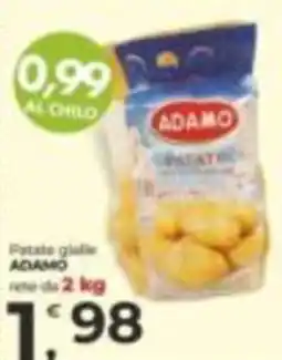 Alter Discount Patate gialle ADAMO offerta
