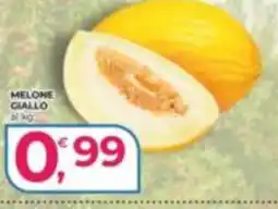 Alter Discount Melone Giallo offerta